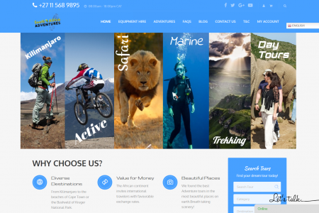 internet marketing website development