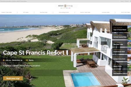 Professional website design company in randburg Professional website design company in randburg south africa sandton