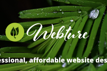 Website Design Services (2) Website design Randburg