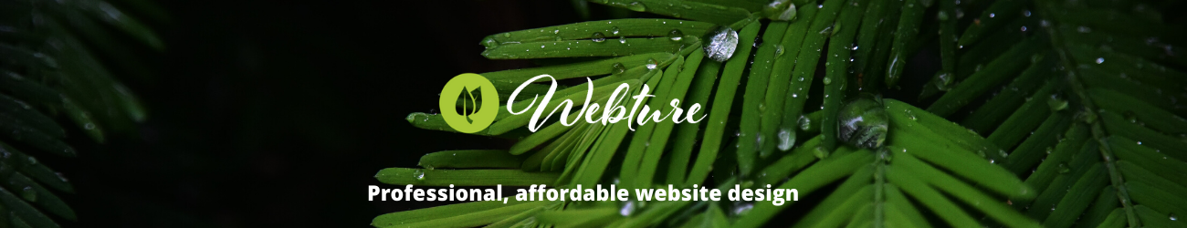 Website Design Services (2) Website design Randburg